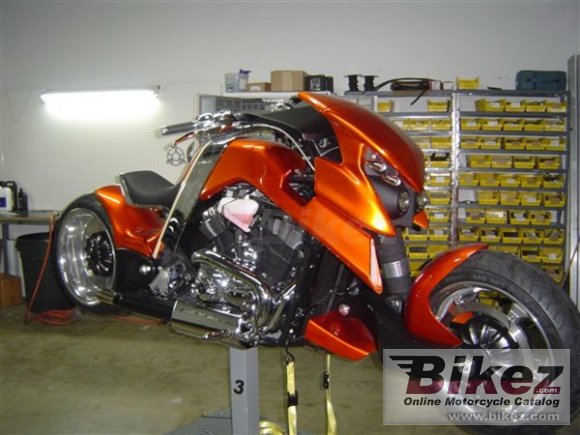 2009 Travertson V-Rex photo